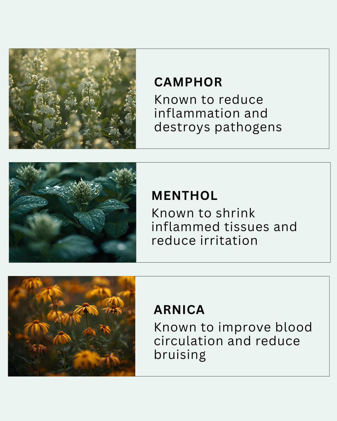 Reds All Purpose Remedy HEMORRHOID- 1oz